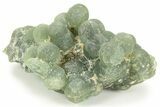 Botryoidal Prehnite and Epidote Inclusions - Mali #220442-1